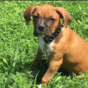 Meet your Posher, Jason